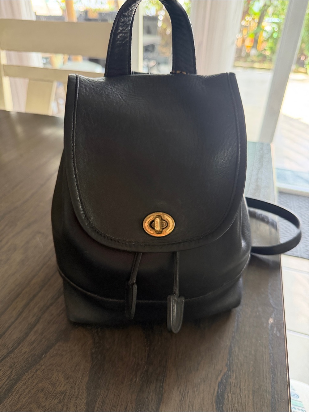 Coach Black Leather Mini Backpack with Gold Turnlock